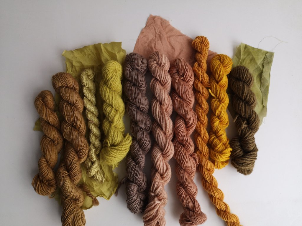 Start your natural dyeing journey with food waste